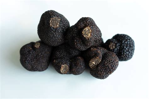 How to Grow Truffles At Home | Mushroom Growing