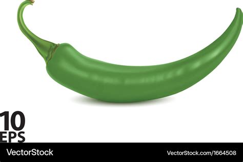 Chilli green Royalty Free Vector Image - VectorStock