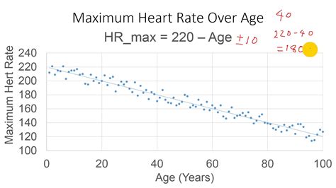 Calculator Maximum Heart Rate