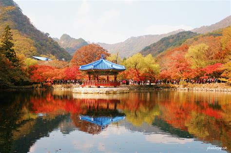 #InsiderKR: 4 Best-Kept Secret Places to See Autumn Foliage in Korea ...