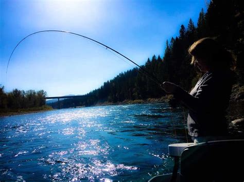 Fishing In Whitefish, MT | Montana Fishing Guides