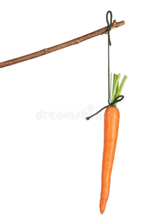 Carrot On A Stick - ReumVegetable