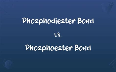 Phosphodiester Bond vs. Phosphoester Bond: What’s the Difference?