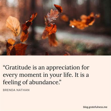 70+ Thankful Quotes to Bring The Light of Thankfulness Into Your Life