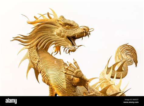 Golden dragon statue on white background Stock Photo - Alamy