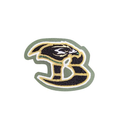 Birdville High School B w/ Hawk Mascot – SSR Jackets Patch Store