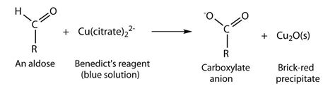 Benedict's Test : Principle, Reagent Preparation, Procedure and Interpretation | LaboratoryInfo.com