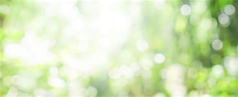 blurry green nature forest landscape background with sunlight flare:blurred bokeh natural ...