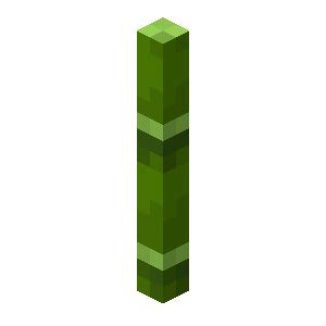 Tutorials/Bamboo farming – Minecraft Wiki