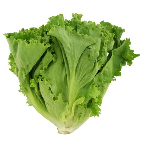 (EA) Green Leaf Lettuce – Sun Food Warehouse