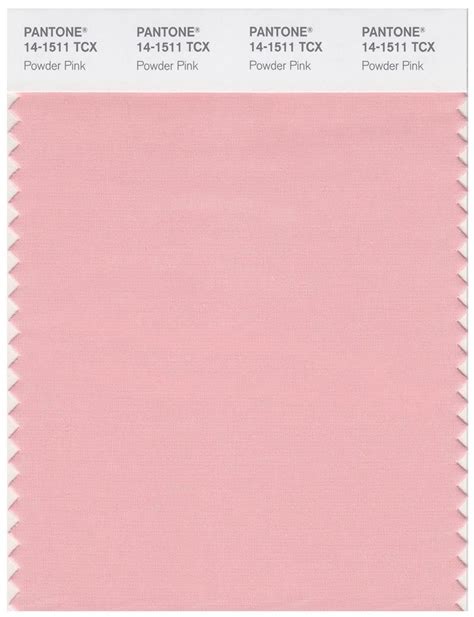 Pantone Smart 14-1511 TCX Color Swatch Card | Powder Pink | Magazine Cafe Store NYC USA ...