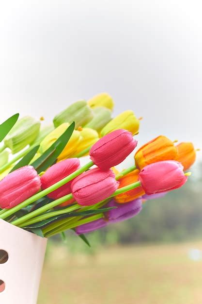 Premium Photo | Bouquet of tulips in spring