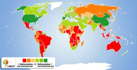 DEFORESTATION - made by ghazi ahmed ali