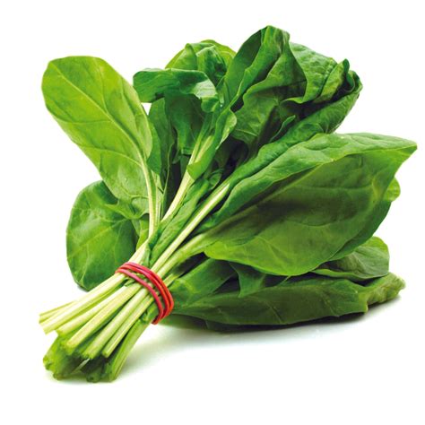 Organic Palak Spinach Seeds - Open Pollinated – Seed2Plant