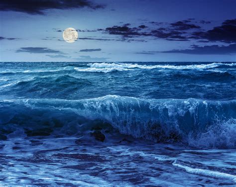 The moon's gravity does not fully explain how ocean tides work