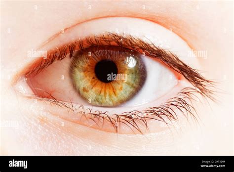 Extreme close up of hazel eye Stock Photo - Alamy