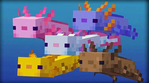 All Axolotl Colors in Minecraft