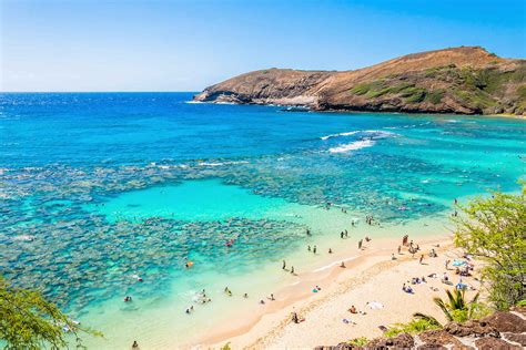 Trips to hawaii - grossblogs