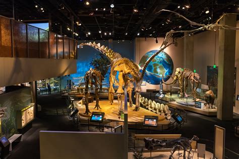 Perot Museum of Nature and Science Reviews | U.S. News Travel