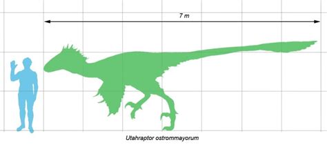 Utahraptor Facts, Habitat, Pictures and Diet