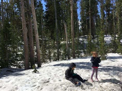 Yellowstone Camping: A Guide to Yellowstone Campgrounds - Trekaroo Family Travel Blog