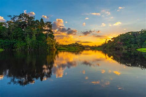 Amazon - Ecuador Trails