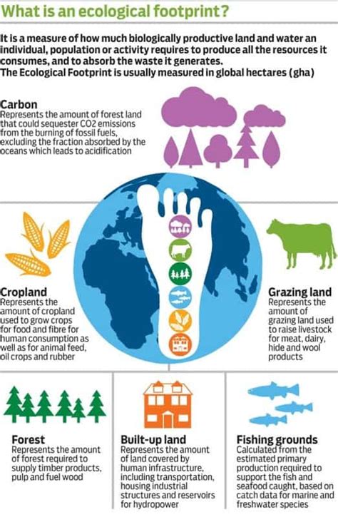 How To Measure (and Reduce) Your Ecological Footprint