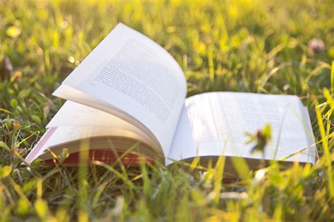 12 Powerful Books to Help You Live More Simply