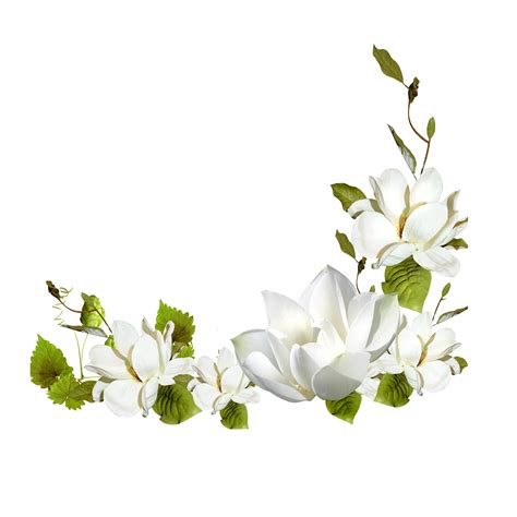 White Rose Flower Corner PNG and Transparent Clipart Image 9594348 PNG