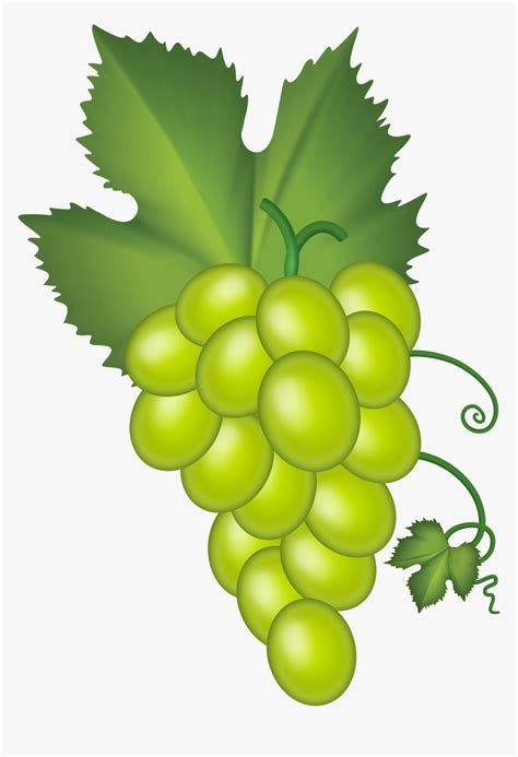 White Grape Cluster Png Clip Art - Green Grapes Clipart Png, Transparent Png - kindpng