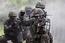 Republic of Korea Army - Wikipedia