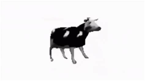 Dancing Polish Cow | Tylko Jedno W Głowie Mam / Polish Cow | Know Your Meme