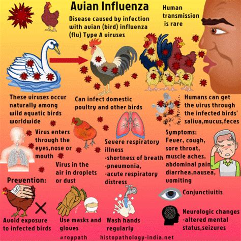 H5N1 avian influenza