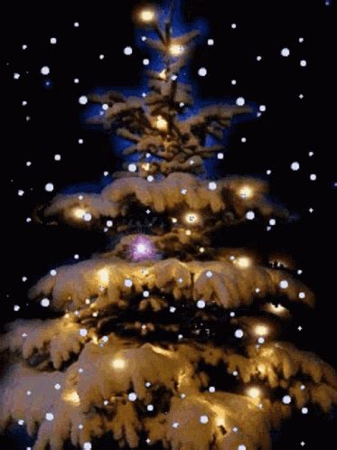 Twinkling Christmas Lights Gif