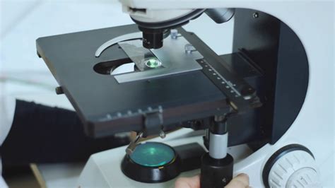 Doctor working with microscope in laboratory. Medical expertise and diagnostic procedure. Close ...