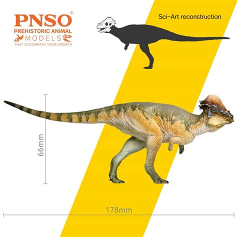 PNSO Austin the Pachycephalosaurus