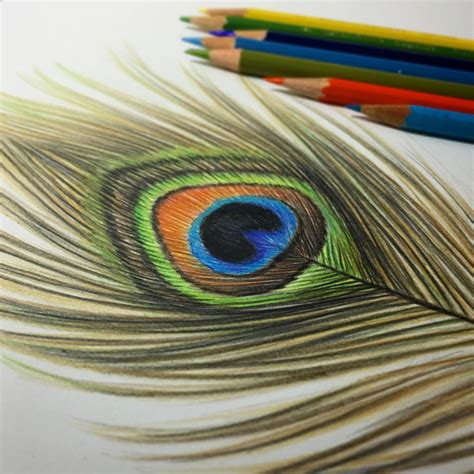 Colored Pencil Drawing Techniques