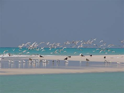 Beautiful World Pictures: Somalia Beaches and Landscape