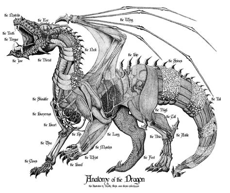 Creature mitologiche, Anatomia artistica, Creature magiche