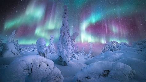 Northern Lights: These spectacular shots capture nature's most beautiful light show | Euronews