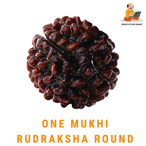 Brown One Mukhi Rudraksha Round, Size: 32 Mm at Rs 5100 in Hathras | ID ...