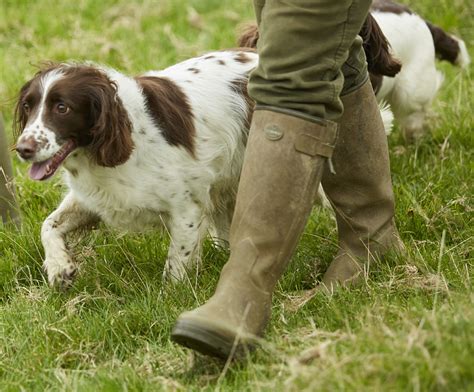 Men's Le Chameau Wellies | Wellies & Country Boots | Cordings