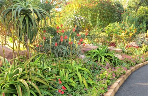 Image result for south africa rockery Garden Yard Ideas, Garden And Yard, Garden Ideas South ...