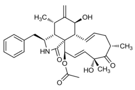 Cytochalasin D | Cell Signaling Technology