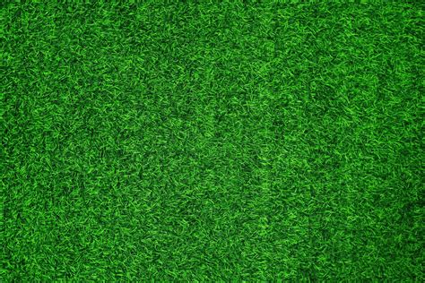 Green grass texture background grass garden concept used for making ...