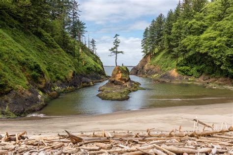 Best Hikes at Beautiful Cape Disappointment State Park, Washington - Pine Coast Hiking