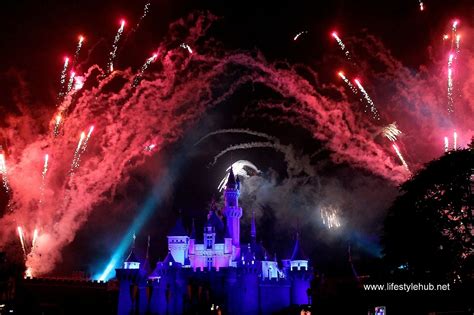 The Lifestyle Hub: Disneyland Delight: Sleeping Beauty's Castle ...