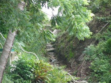 Jungle Trail in Puerto Vallarta was a worthwhile and fascinating trek. | Puerto vallarta ...