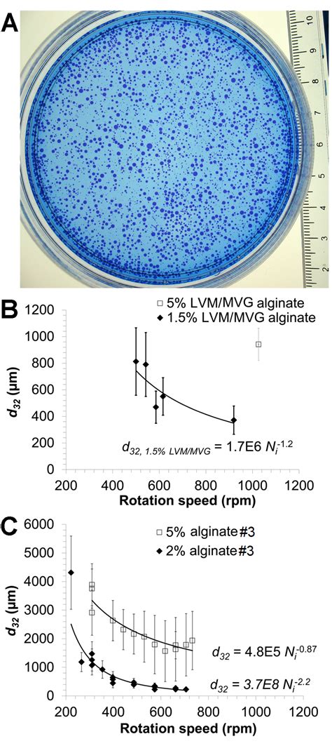 Mammalian Cell Encapsulation in Alginate Beads Using a Simple Stirred Vessel (article) | JoVE