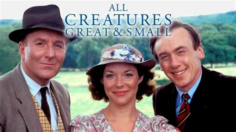 All Creatures Great and Small (1978) for Rent on DVD - DVD Netflix